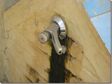 grifo con humedad y moho